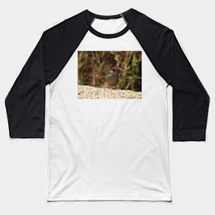 Red-browed Finch at Norton Summit Baseball T-Shirt